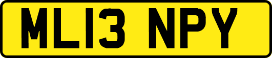 ML13NPY