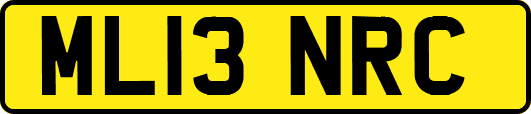 ML13NRC