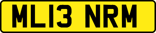 ML13NRM