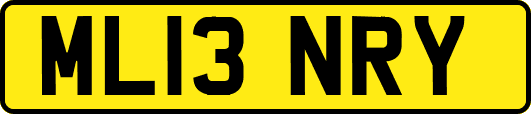 ML13NRY