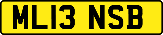 ML13NSB