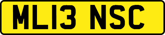ML13NSC