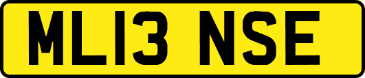 ML13NSE