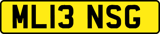 ML13NSG
