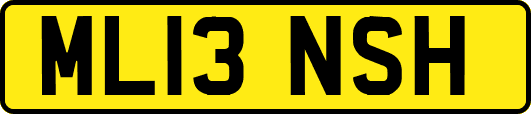 ML13NSH