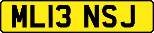 ML13NSJ