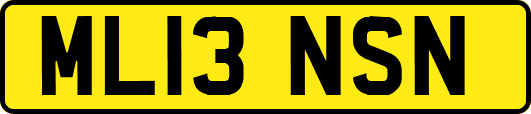 ML13NSN