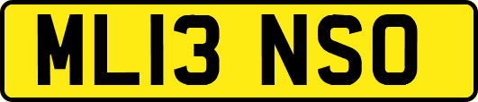 ML13NSO