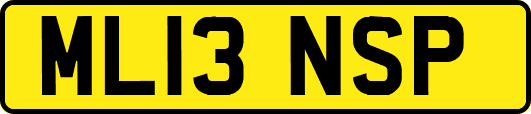 ML13NSP