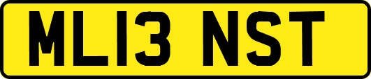 ML13NST