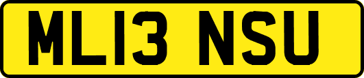 ML13NSU