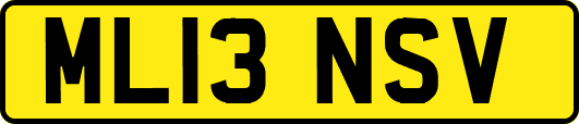 ML13NSV