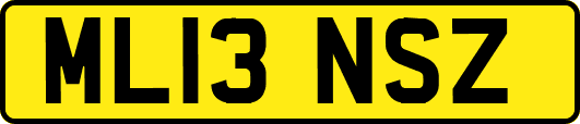 ML13NSZ