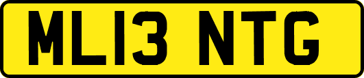 ML13NTG
