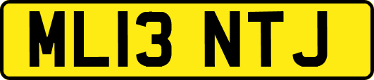 ML13NTJ