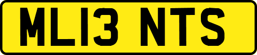 ML13NTS