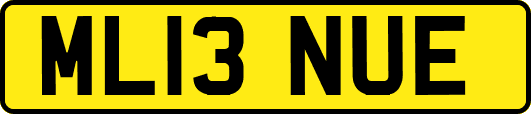 ML13NUE