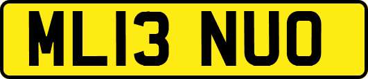 ML13NUO