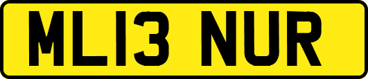 ML13NUR