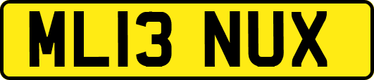 ML13NUX