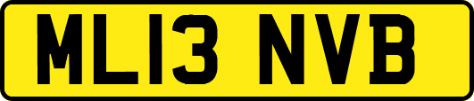 ML13NVB
