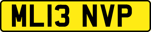 ML13NVP