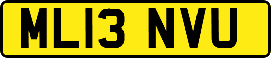 ML13NVU
