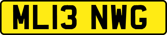 ML13NWG