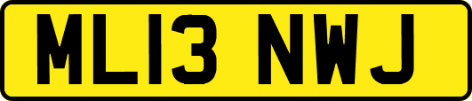 ML13NWJ