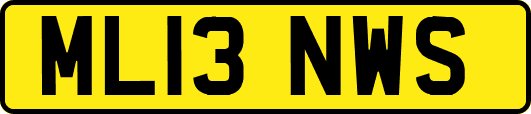 ML13NWS
