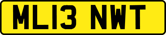 ML13NWT