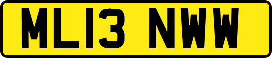 ML13NWW