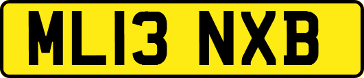 ML13NXB
