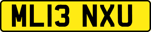 ML13NXU