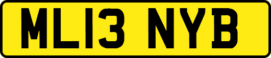 ML13NYB