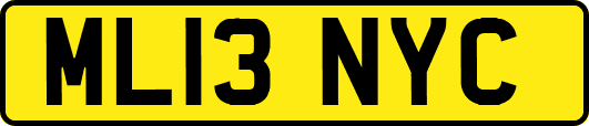 ML13NYC