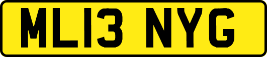 ML13NYG