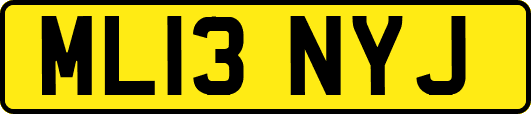 ML13NYJ