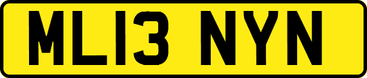 ML13NYN