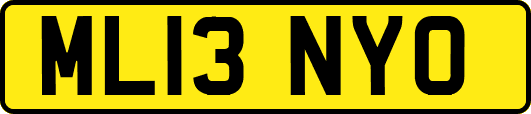 ML13NYO