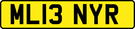 ML13NYR