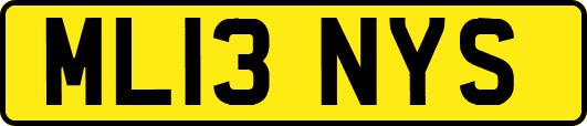 ML13NYS
