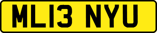 ML13NYU