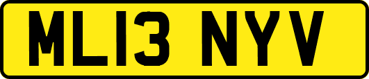 ML13NYV