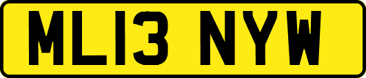 ML13NYW