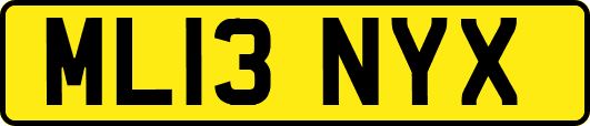 ML13NYX