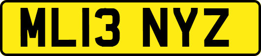 ML13NYZ