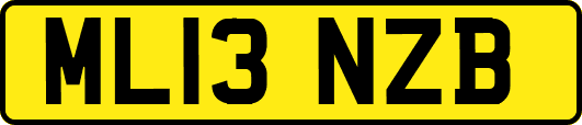 ML13NZB