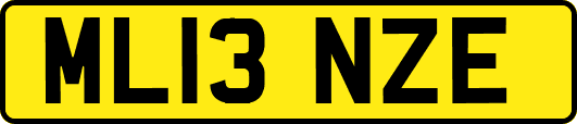 ML13NZE