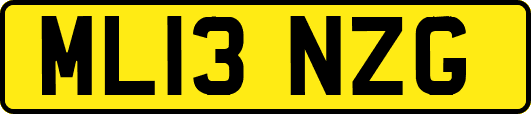 ML13NZG